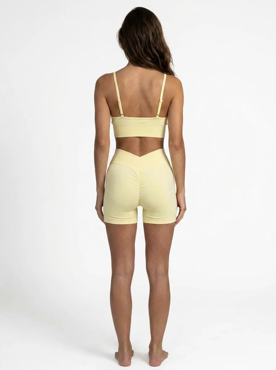 Set Lemon — back